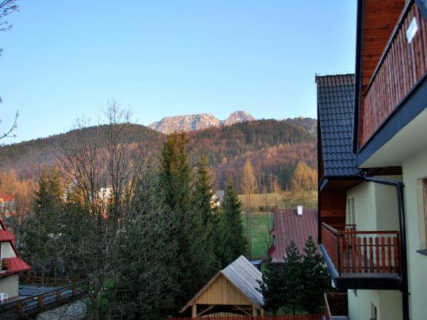 Apartament Domino - Krzeptowki 06 Закопане Екстериор снимка